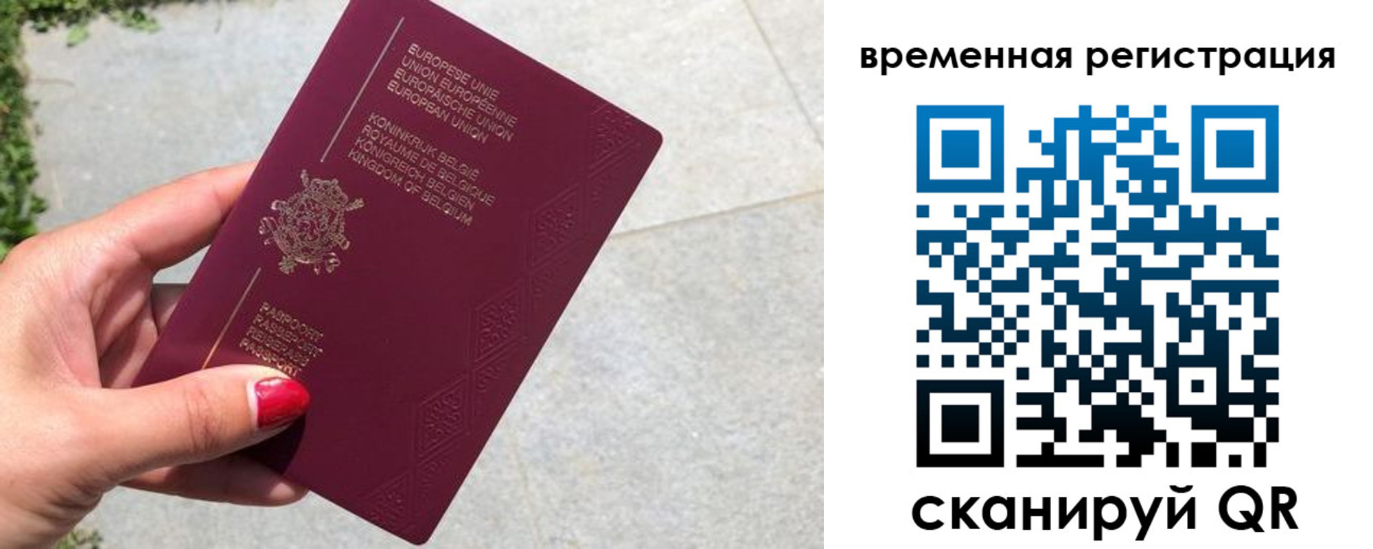 пропишу в квартире в Бородино